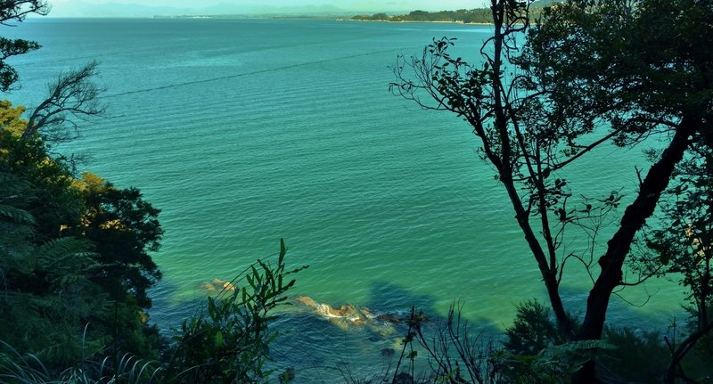 The turquoise waters of Coquille Bay shine from the Abel Tasman Track.