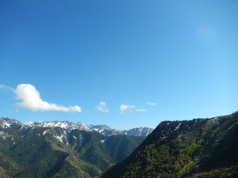 The east shoulder of Grandeur Peak poses with Mt. Olympus and Hobb's Peak in the background.