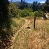 The start of the Upper Descanso Creek Trail is marked by this sign.