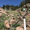 Heading up the steeper Switchback Trail on the side of the dam to the reservoir, keep your eyes peeled for lizards! (Photo taken when dogs were permitted, before 5/15/23).