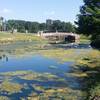 Cottonwood Park is home to a lovely pond.