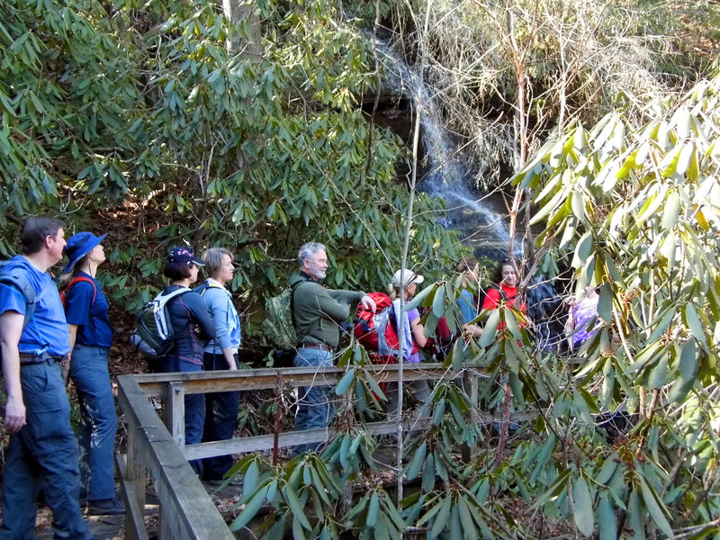 A group explores the rhododendrons along the Bartram Trail.