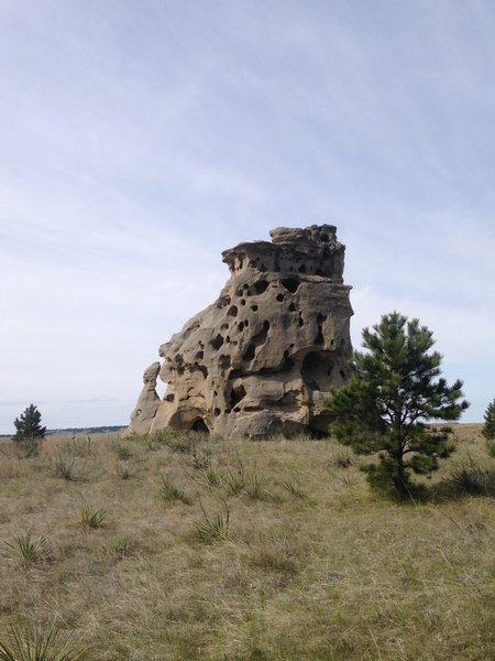 Sandstone formations dot the Sunset Loop Trail in Medicine Rocks State Park.