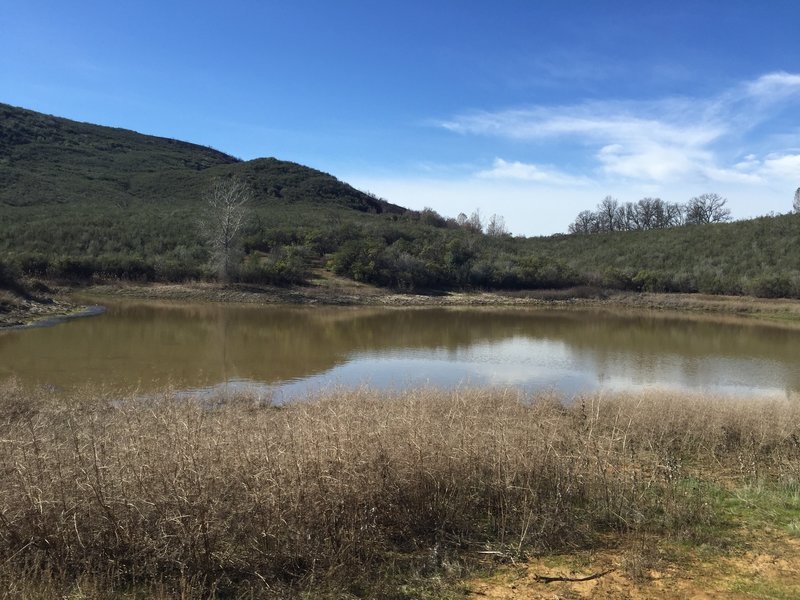 Frog Pond is a nice place to stop and dip your feet along the trail.