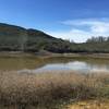 Frog Pond is a nice place to stop and dip your feet along the trail.