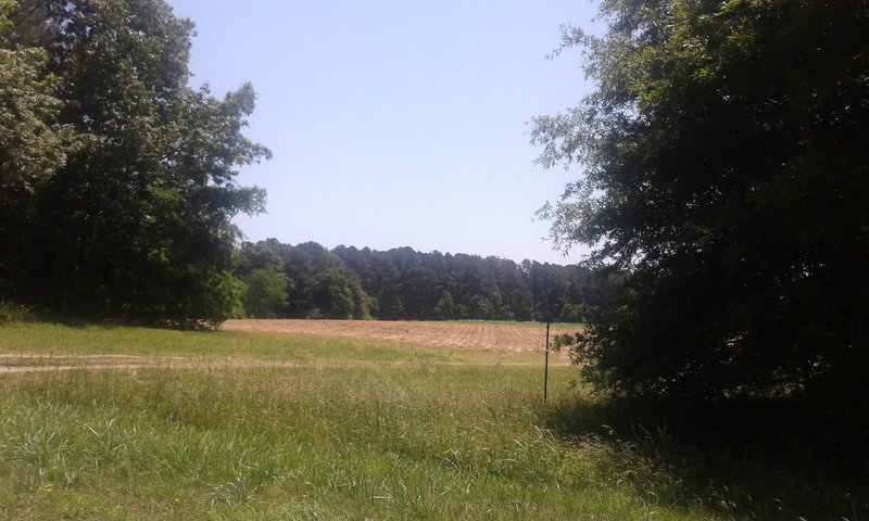 View of an alternate entrance to the Road Closed Trail.