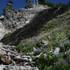 Waterfalls and wildflowers abound!