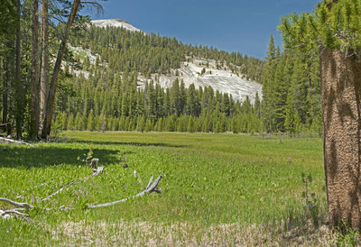 Maxson Dome towers above the meadow below Chamberlains Camp.
