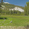 Maxson Dome towers above the meadow below Chamberlains Camp.