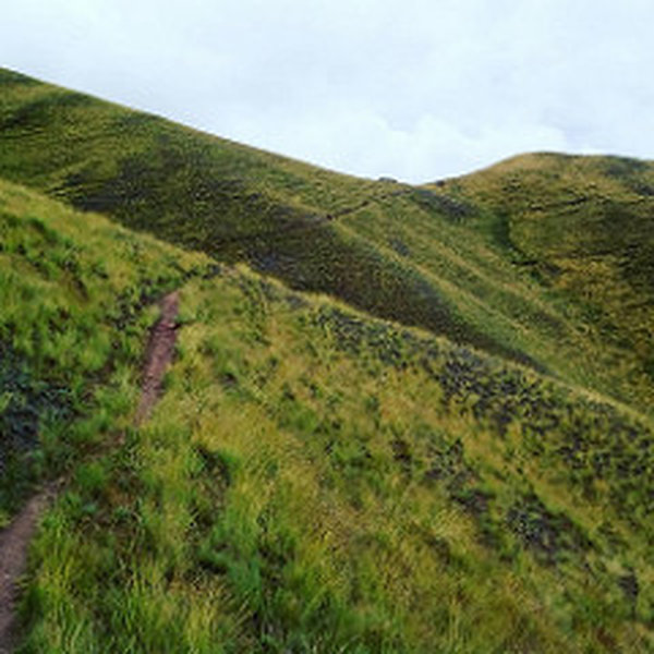 The first part of the Huchuy Qosqo Trail looks like this.
