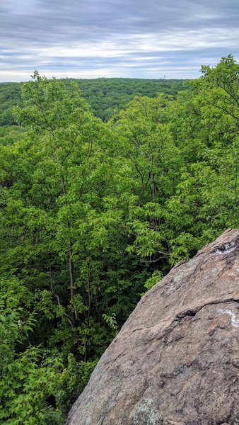 Watch your step! The Highlands Trail lives up to its name in Mahlon Dickerson Reservation.