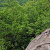 Watch your step! The Highlands Trail lives up to its name in Mahlon Dickerson Reservation.