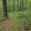 Some enjoyable singletrack can be found on the Highlands Trail in Mahlon Dickerson Reservation.