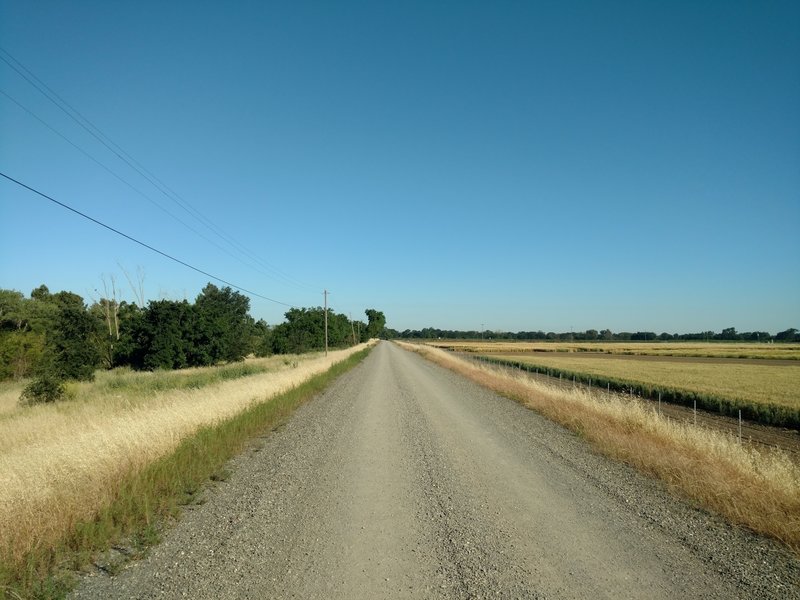 The levee access road is buffed smooth.