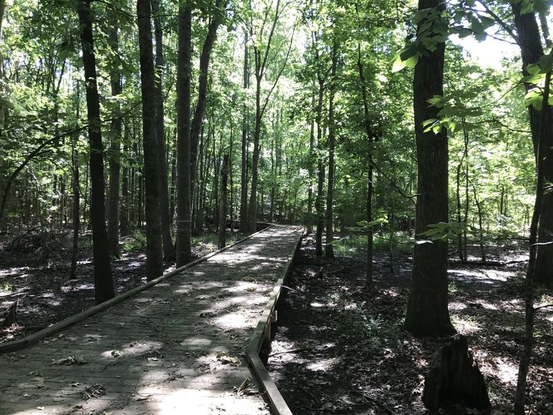 A boardwalk guides visitors over a low-lying area on the Upland Nature Trail.