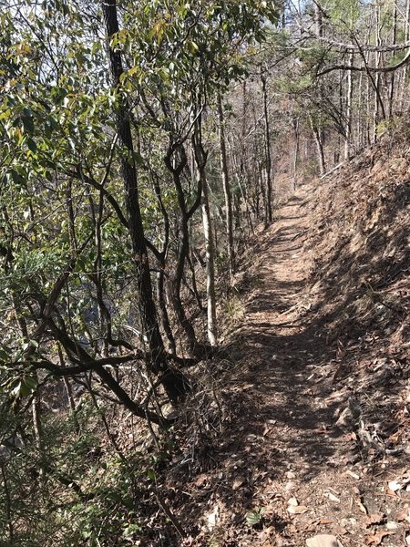 The Deer Rub Trail narrows along a cliff above Chewacla Creek.