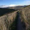 You can catch a glimpse of Pocatello down below along the pleasant Eagle trail.