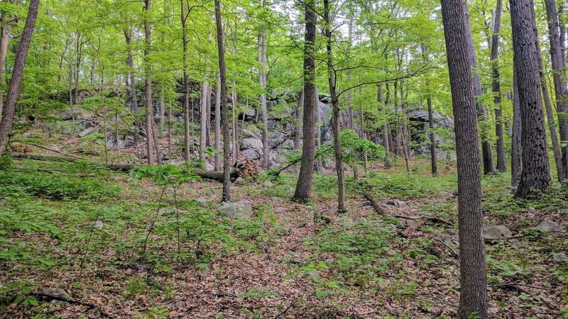 The Blue Trail is full of winding switchbacks. From this spot, enjoy the view of this 35 foot ledge you'll eventually traverse.