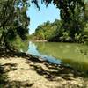 Putah Creek has a few great swimming holes.