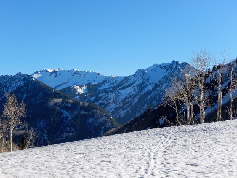 Looking south across Big Cottonwood Canyon in May brings beautiful snowy views.