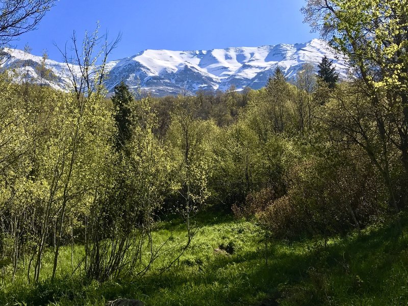 Mount Timpanogos stands prominently in the distance.