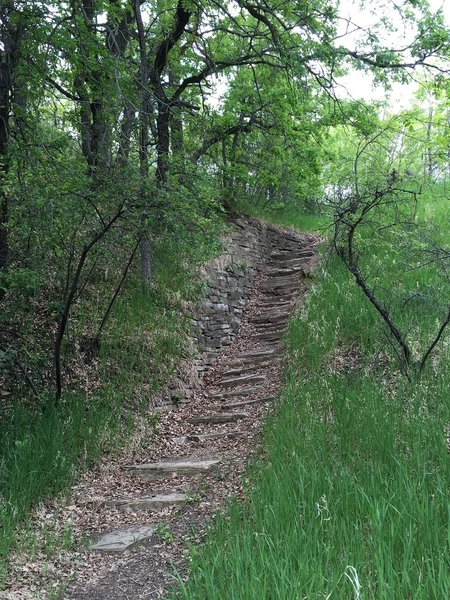 Two sets of steep stairs on the North Earthlodge Connector Trail make a great place to get in some training!