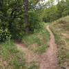 This is the junction of Hillside Connector Trail and Little Soldier Loop.