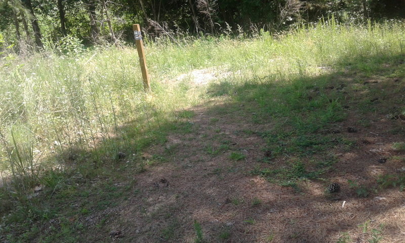 A trail marker pointing the way for the Blue or Green Trail.