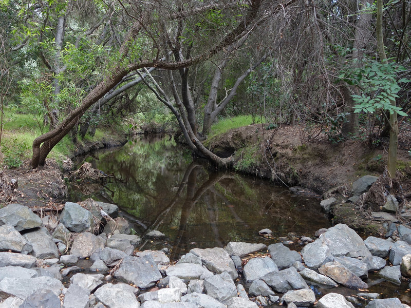 Navigate this rocky stream crossing in Tecolote Canyon.