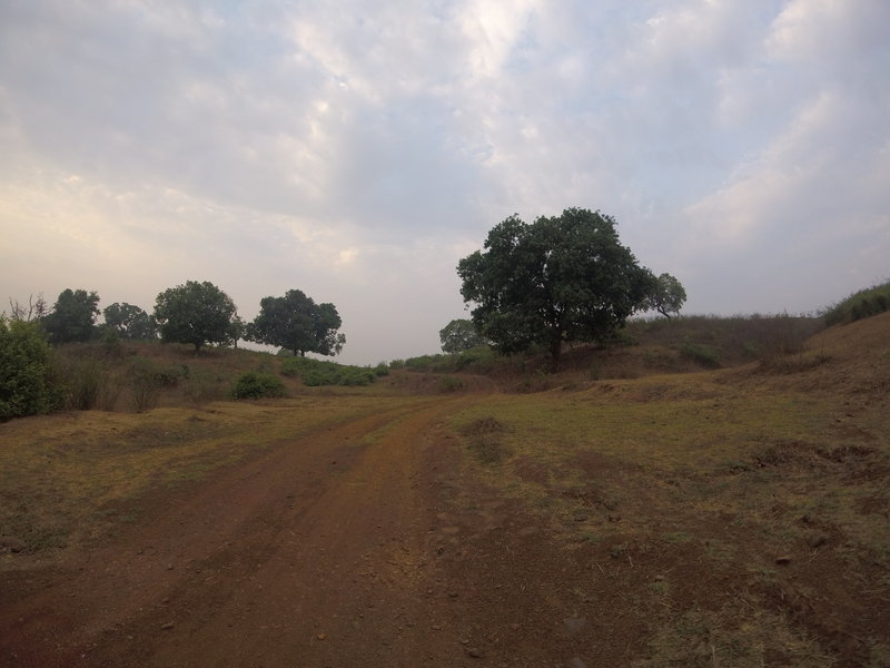 Mango trees dot the landscape along the way.