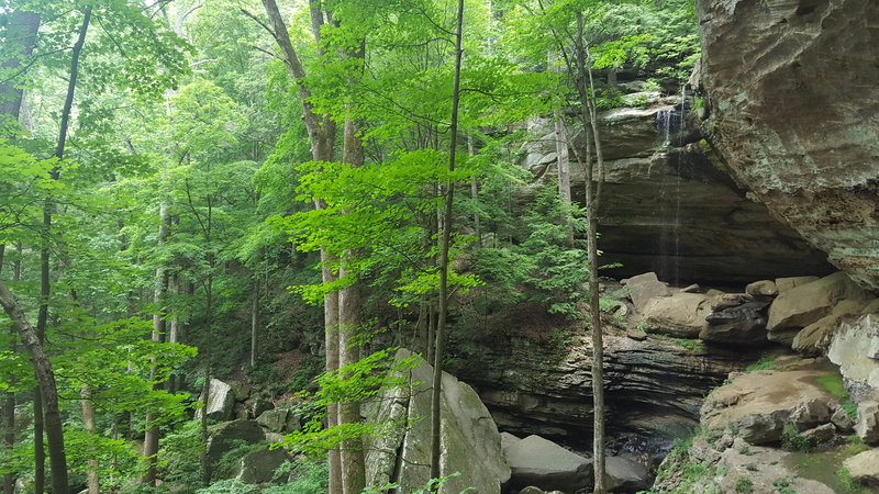 Anglin Falls is just beautiful in the spring.