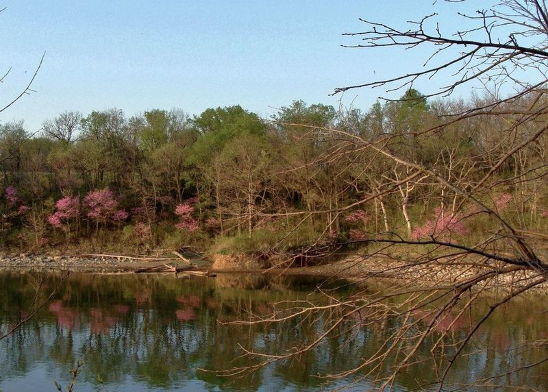 The Pulpit Trail overlooks the lake and, if you look closely, a view of Neale's Trail somewhere through those trees.