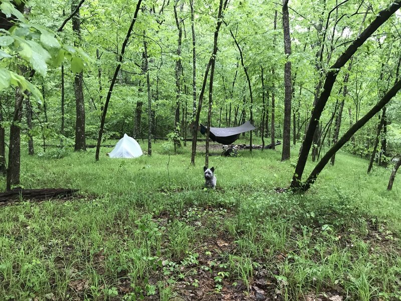 This is the campsite across the creek from the Caney Creek Trail.