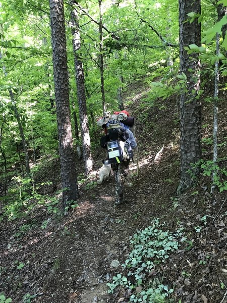 The Caney Trail traverses peaceful forests.