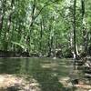 This is the first major creek crossing you'll pass on the Caney Creek Trail starting from the east trailhead.