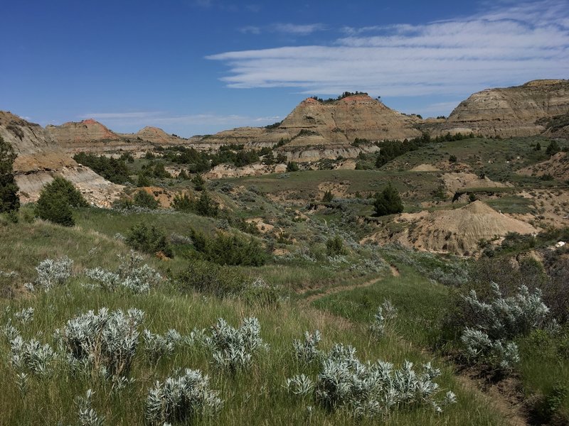 The Painted Canyon Trail is worth checking out in Theodore Roosevelt National Park.