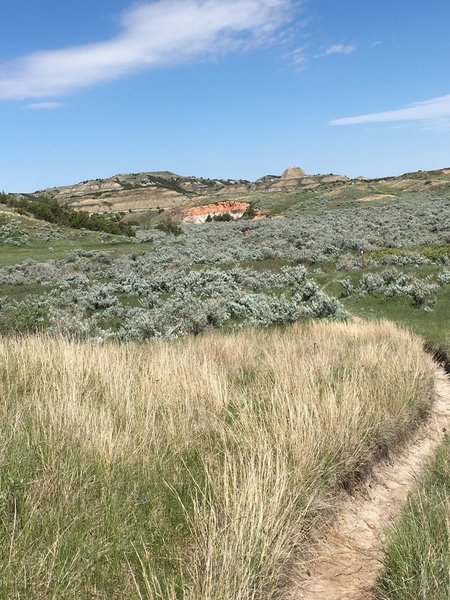 Hop on the Painted Canyon Trail for fantastic views of Theodore Roosevelt National Park.