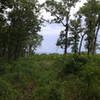 Approaching glade overlook from the Stegall Mountain Fire Tower Connector.