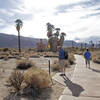 Visitors explore the Oasis of Mara Trail. Photo Credit: NPS/Brad Sutton.