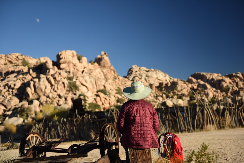 A visitor enjoys the views during a ranger-led tour of Keys Ranch. Photo credit: NPS/Hannah Schwalbe.