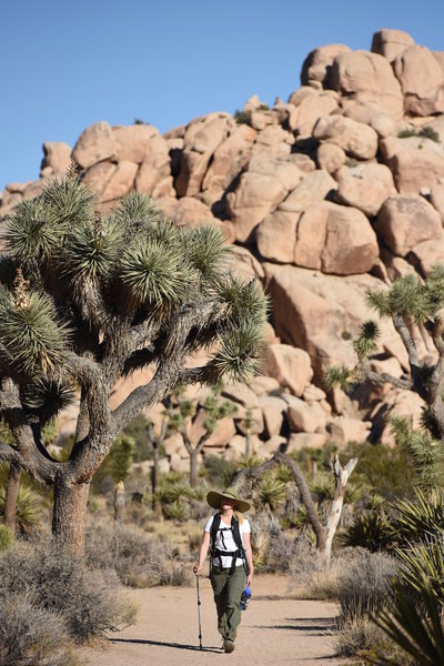 A well-shaded visitor travels along the Barker Dam Nature Trail. Photo credit: NPS/Brad Sutton.