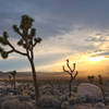 A sunset settles over the start of the Hidden Valley Nature Trail. Photo credit: NPS/Brad Sutton.