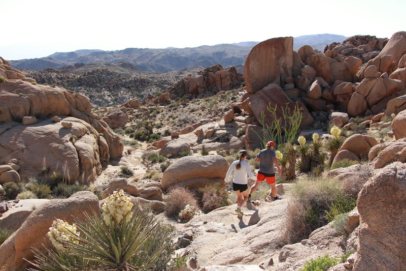 Visitors pick their way along the end of the Mastodon Peak Trail. Photo credit: NPS/Hannah Schwalbe.