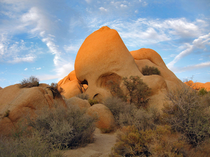 Skull Rock peeks up through the surrounding boulders. Photo credit: NPS/Robb Hannawacker.