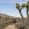 Park visitors head up the Ryan Ranch Trail. Photo credit: NPS/Hannah Schwalbe.