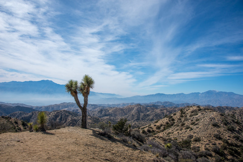 Enjoy the view looking west from Eureka Peak. Photo credit: NPS/Lian Law.