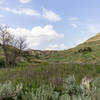 Heading into the Jones Creek Trail, enjoy this scenic view.