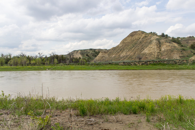 The muddy Little Missouri River flows alongside the Ekblom Trail.
