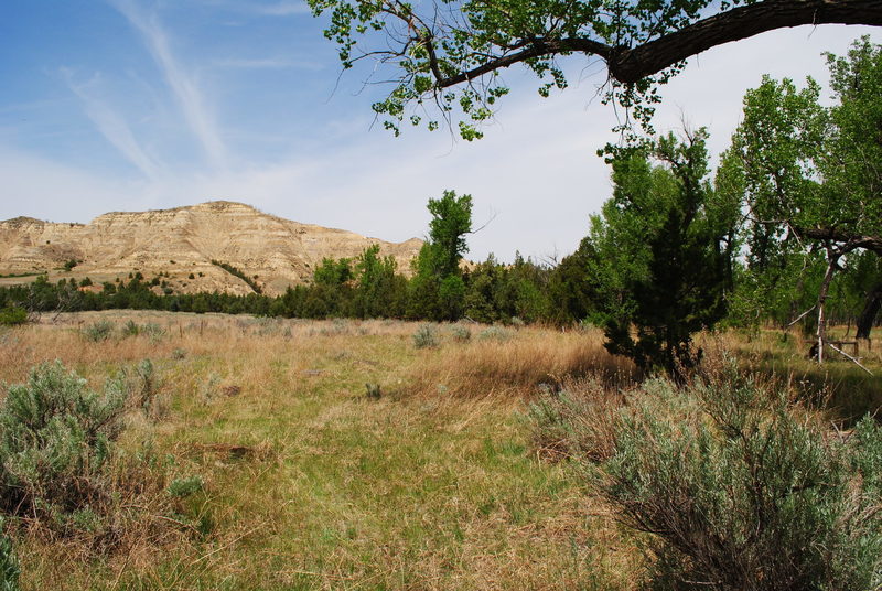 A grassy meadow reveals a view of the nearby butte at Elkhorn Ranch. Photo credit: NPS/Laura Thomas.