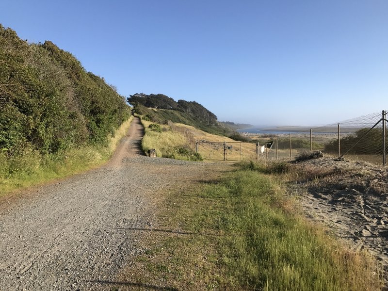 Hammond Trail near Highway 101 south of Clam Beach.